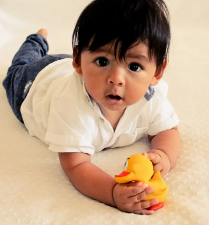 canard-lanco-hevea-mellune