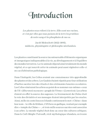 intro-plantes-des-celtes