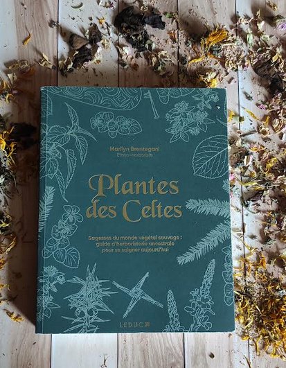 Plantes des Celtes, sagesses du monde végétal sauvage : guide d’herboristerie ancestrale pour se soigner aujourd’hui
