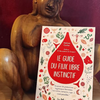livre-guide-flux-libre-instinctif