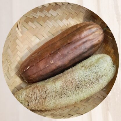 loofah-zero-dechet