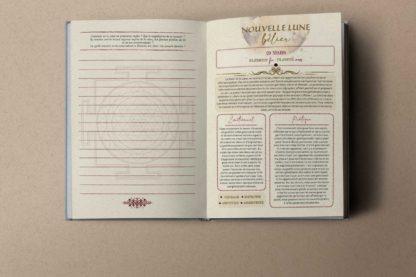 Agenda-livre Graines de Lune 2025 : Plantes, Astrologie, Matrimoine - créé par les femmes pour les femmes – Image 6