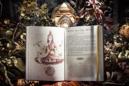Agenda-livre Graines de Lune 2025 : Plantes, Astrologie, Matrimoine - créé par les femmes pour les femmes – Image 4