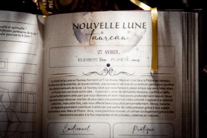 Agenda-livre Graines de Lune 2025 : Plantes, Astrologie, Matrimoine - créé par les femmes pour les femmes – Image 3
