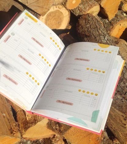 carnet de FIV : le journal de bord pour m'accompagner dans mon programme PMA – Image 2