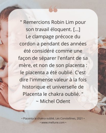 PLACENTA Le Chakra oublié - le premier livre dédié au Placenta, par la sage-femme Robin Lim – Image 3