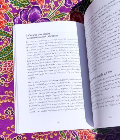 L'alchimie de la Déesse : magie et rituels des mystères païens - Élisa Amaru – Image 3
