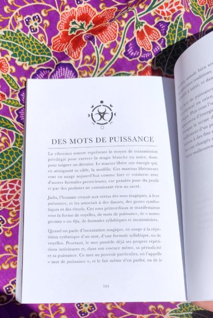 L'alchimie de la Déesse : magie et rituels des mystères païens - Élisa Amaru – Image 5