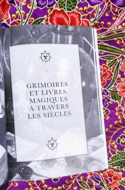 L'alchimie de la Déesse : magie et rituels des mystères païens - Élisa Amaru – Image 4