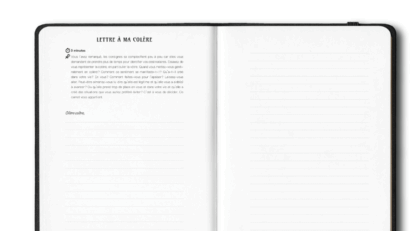 Toutes les lettres ne sont pas des lettres d'Amour (ou peut-être le sont-elles ?) : le carnet libérateur où écrire toutes les lettres que vous n'avez jamais osé envoyer... – Image 2
