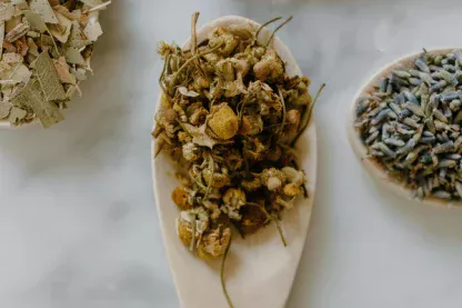 Tisane 100% BIO de grossesse : Cuddle Queen – Image 5