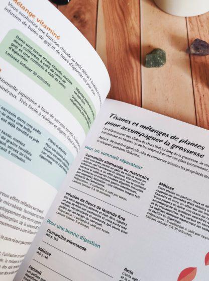 Naturopathie grossesse, post-partum et premiers mois de bébé – Image 6
